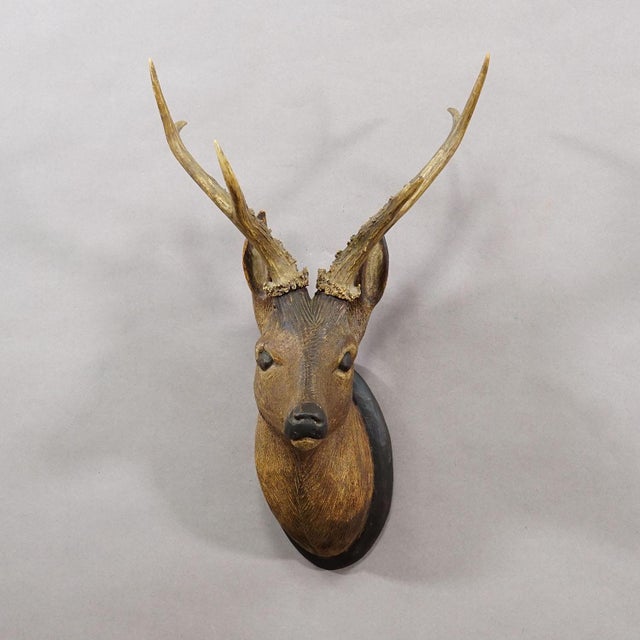 Large Naturalistic Black Forest Carved Deer Head, ca. 1930s A great antique wooden carved Black Forest red deer head...
