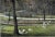 Artist: Harold Altman (American, 1924-2003) Title: Sunday, Central Park Year: c. 1985 Medium: Color lithograph Edition:...
