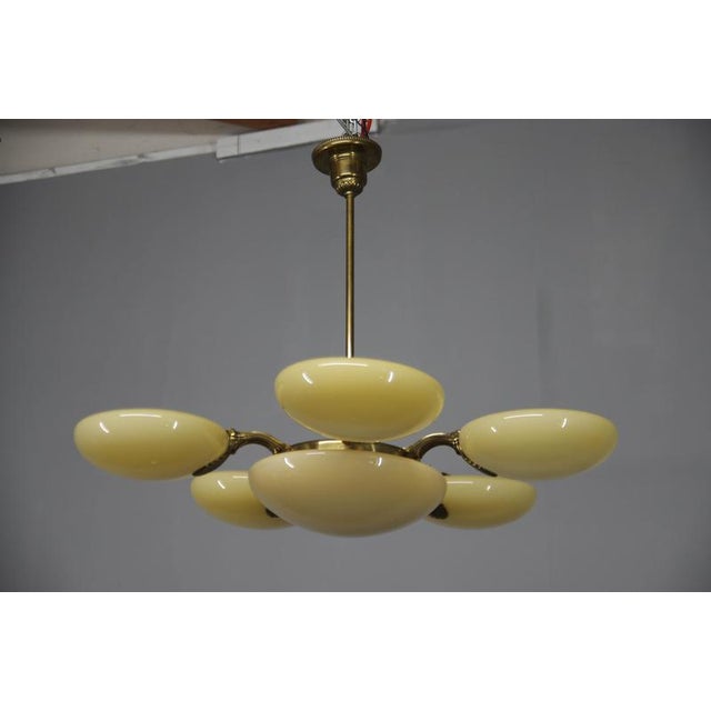 Art Nouveau Six-Light Brass Chandelier by Jencik, Czechoslovakia, 1920s For Sale - Image 3 of 17