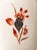 Imari Red Blue Gold Ceramic Table Lamps with Silk Shades from Royal Delft, 1970s, Set of 2 For Sale - Image 18 of 18