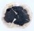 Petrified Wood Round Black & Beige Bowl Dish Large Plate For Sale - Image 4 of 8