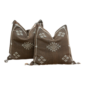 Pair of Desert Ember Silk Rug Pillows