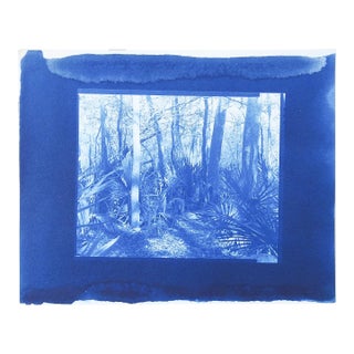 Vintage Cyanotype Blue Tropical Landscape Photograph For Sale