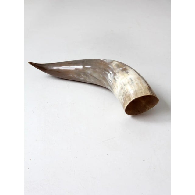 Bone Vintage Polished Horn For Sale - Image 7 of 12