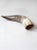 Bone Vintage Polished Horn For Sale - Image 7 of 12
