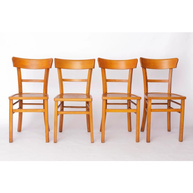 Vintage Frankfurter Dining Chairs in Beech, Germany, 1960s, Set of 4 For Sale - Image 10 of 10