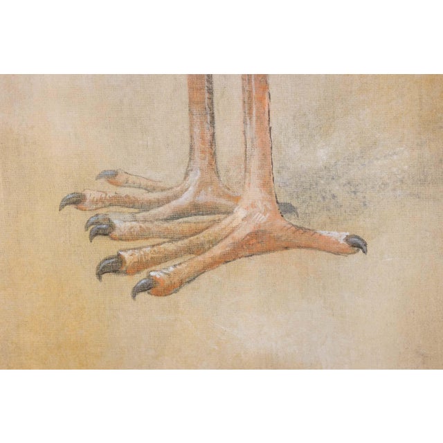 French Artist, Nile Shoebill, Painted Canvas For Sale - Image 6 of 9