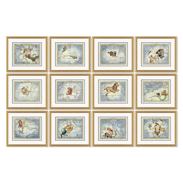Astrology Signs Series Framed Art Prints - Set of 12 by David Phoenix For Sale - Image 13 of 13