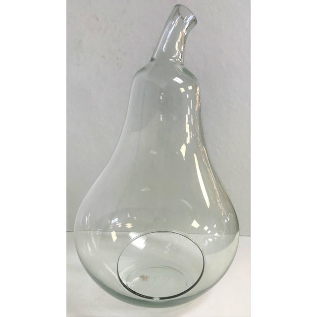 Hand Blown Art Glass Pear Shaped Terrarium by La Mediterranea Spain
