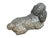 Vintage 1970s Life Size Poodle Ceramic Statue With Ruby Collar For Sale In New York - Image 6 of 12