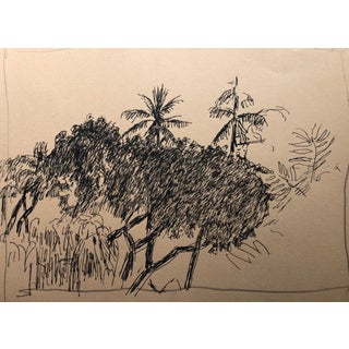 Hayward Circker Caribbean Jungle Drawing 1970s For Sale