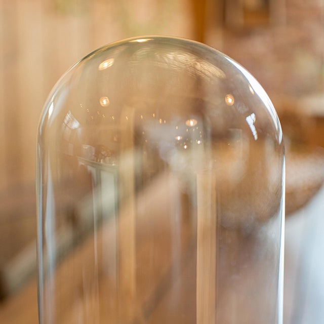 1890's Antique Tall Display Showcase For Sale - Image 4 of 10