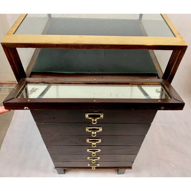 Collector’s Square Mahogany & Brass Bound Display Cabinet With Seven Drawers For Sale - Image 12 of 12