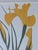 Henry Evans Botanical Linocut Prints Framed- Set of 4 For Sale - Image 17 of 17