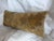16th Century Antique Brussels Botanical Tapestry Pillow For Sale - Image 4 of 7