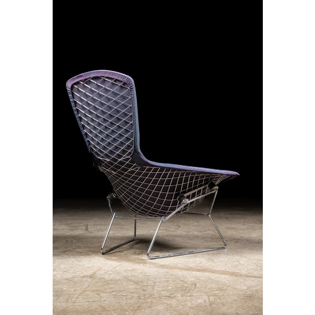1970s 1970s Harry Bertoia Bird Chair for Knoll International For Sale - Image 5 of 12
