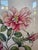 A Hand Colored Engraving of Pink Roses For Sale - Image 4 of 15