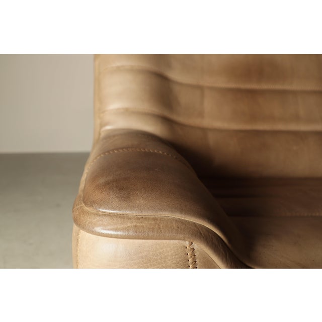 DS-84 Two-Seater Sofa from de Sede, 1970s For Sale - Image 15 of 16