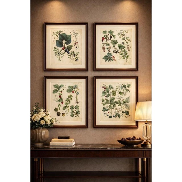 Dr. Calwer, Currants and Wild Berries, 1854, Chromolithographs on Paper For Sale - Image 3 of 9