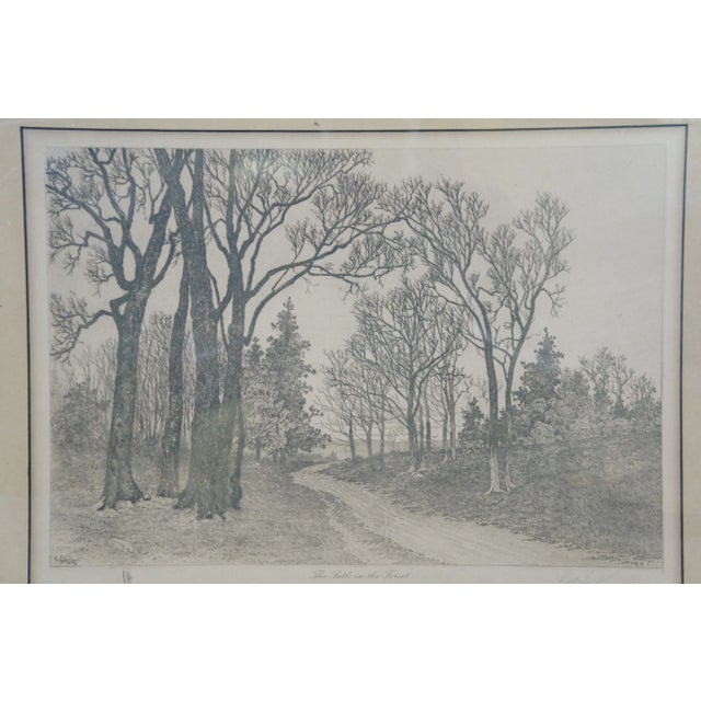 Late 19th Century Antique Lh King the Path in the Forest Landscape Etching 20", Framed For Sale - Image 5 of 11