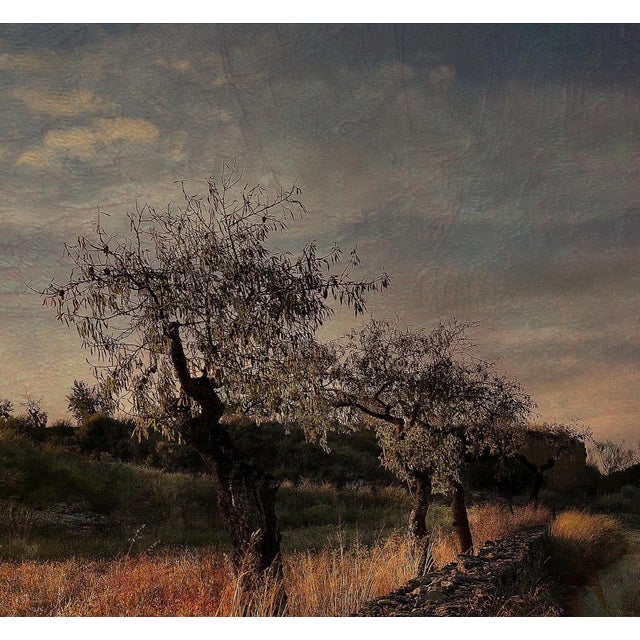 My Literature - Signed limited edition archival pigment print, Edition of 3 Signed + numbered by artist with certificate...