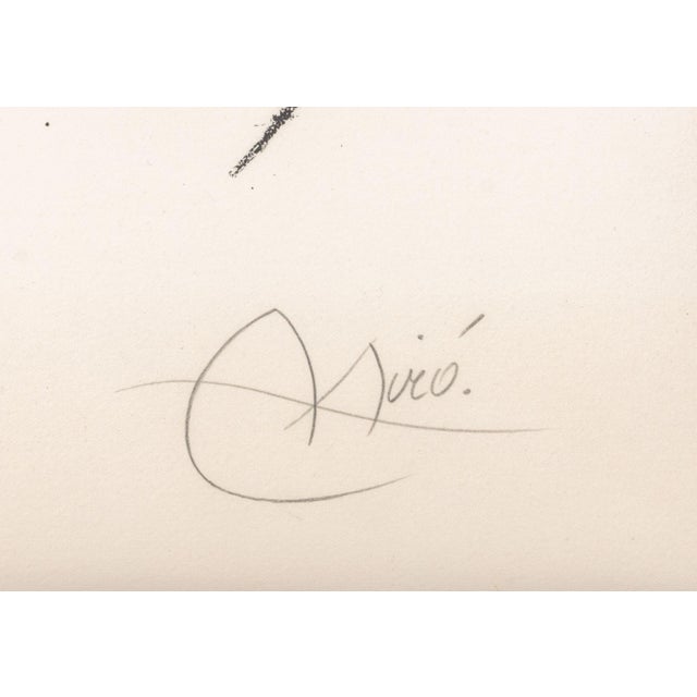 Paper Joan Miro "Lithograph Ix" Lithograph, 1975 For Sale - Image 7 of 10
