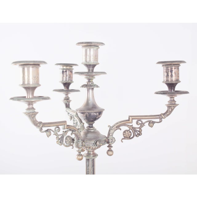 Pair of four-light candelabra, in shell. with a tall and imposing structure, with three curved arms and one straight one,...
