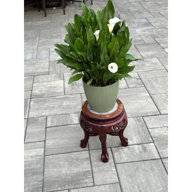 Antique Chinese Carved Rosewood Plant Stand For Sale - Image 4 of 6