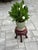 Antique Chinese Carved Rosewood Plant Stand For Sale - Image 4 of 6