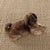 Contemporary Dash & Albert by Annie Selke Veranda Natural Indoor/Outdoor Rug, 2'6" x 8' For Sale - Image 3 of 6