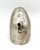 Contemporary Cast Aluminum Nautilus Shell Sculpture / Model – Coastal / Organic Modern For Sale In Houston - Image 6 of 8