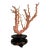 Vintage Natural Coral Branch on Chinosierie Carved Base For Sale