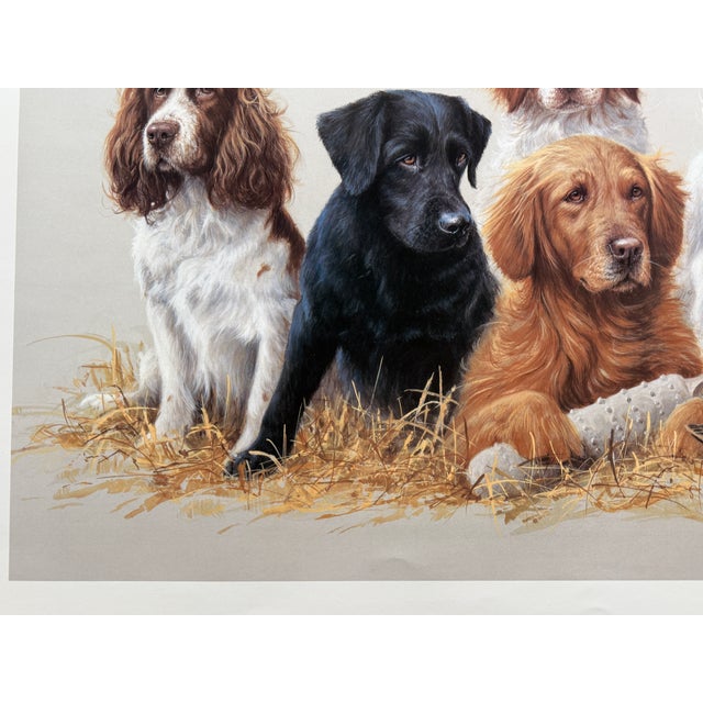 Paper 1980s Jim Killen Sporting Dog Art Great Retrievers Labs (29.5"x20") "Class Reunion" Open Edition For Sale - Image 7 of 7
