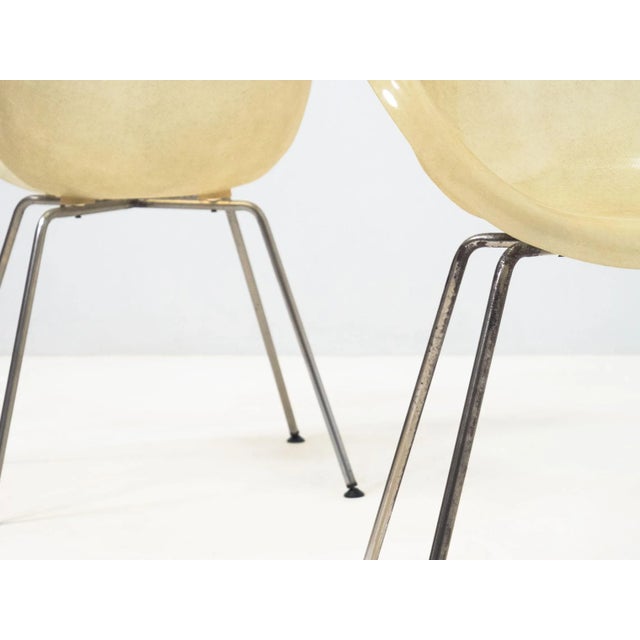 Set of Vintage Fiber Glass Shell Chairs For Sale - Image 4 of 7