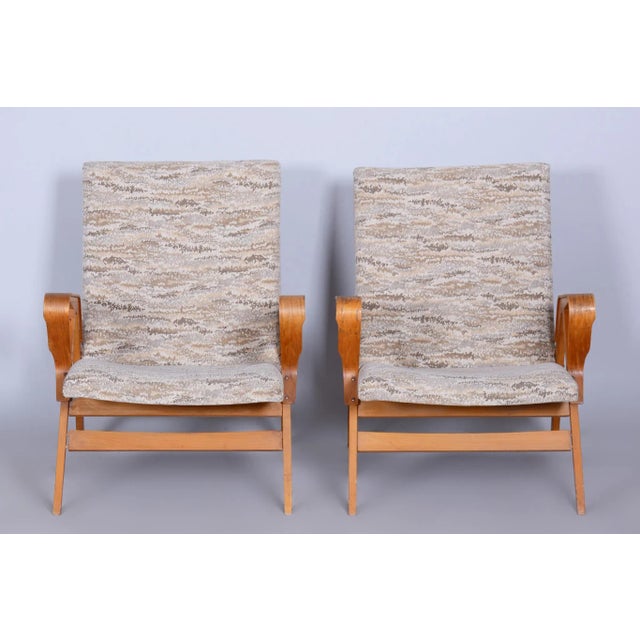 Mid-Century Modern Set of Mid-Century Armchairs in Beech attributed to Tatra Pravenec, Czech, 1950s For Sale - Image 3 of 8
