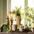 Boston Fern Drop-In 16" For Sale In Chicago - Image 6 of 6