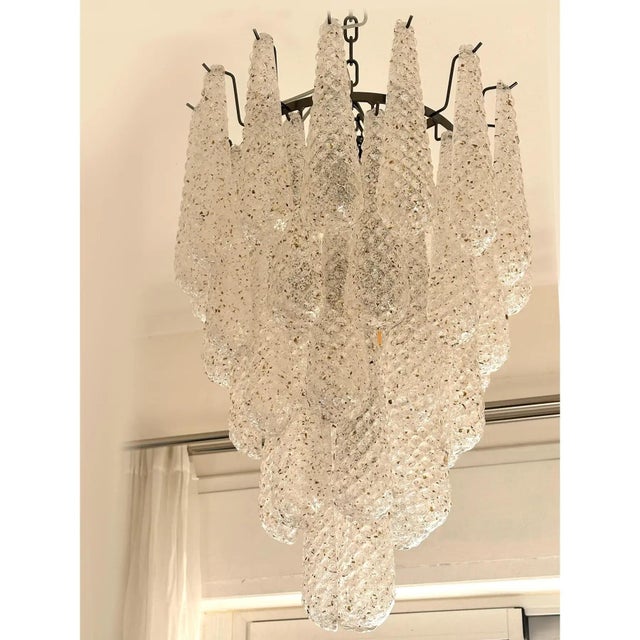 Murano Mid Century Modern Venetian Murano Glass “Conchiglie” Chandelier in Black Nickel For Sale - Image 4 of 7