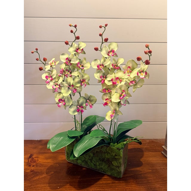 Mint Leaf Orchid Luxe For Sale In West Palm - Image 6 of 6