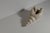 Sculptural Shell Vase in Stoneware by C.H. Brannam, 1965 For Sale - Image 3 of 12