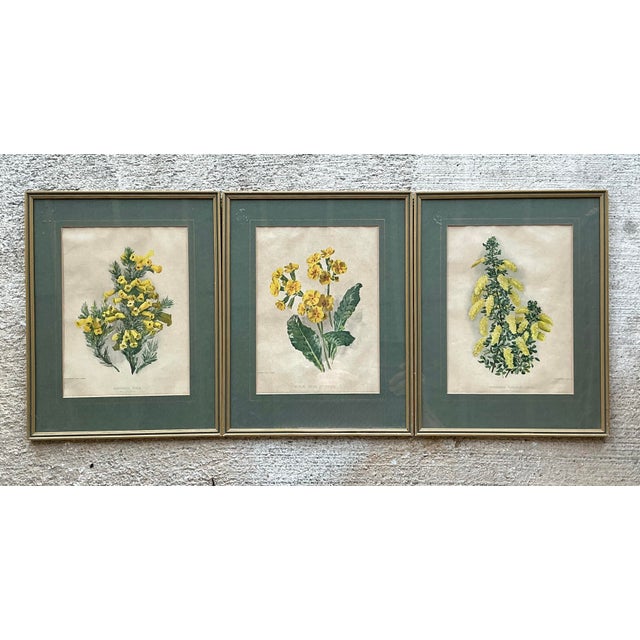 Vintage Framed Botanical Floral Illustrations - Set of 3 For Sale - Image 11 of 12