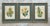 Vintage Framed Botanical Floral Illustrations - Set of 3 For Sale - Image 11 of 12