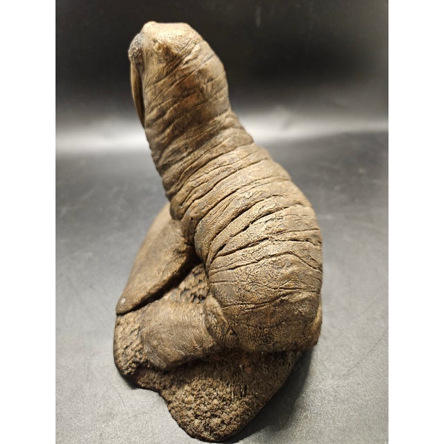 Figurative Vintage Peter Berryman Walrus Statue Cold Cast Bronze Sculpture For Sale - Image 3 of 6