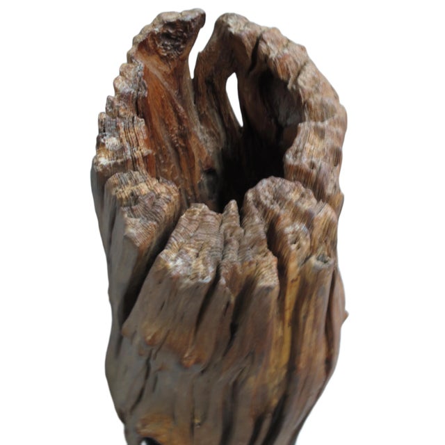 Wood Wood Piece For Sale - Image 7 of 8