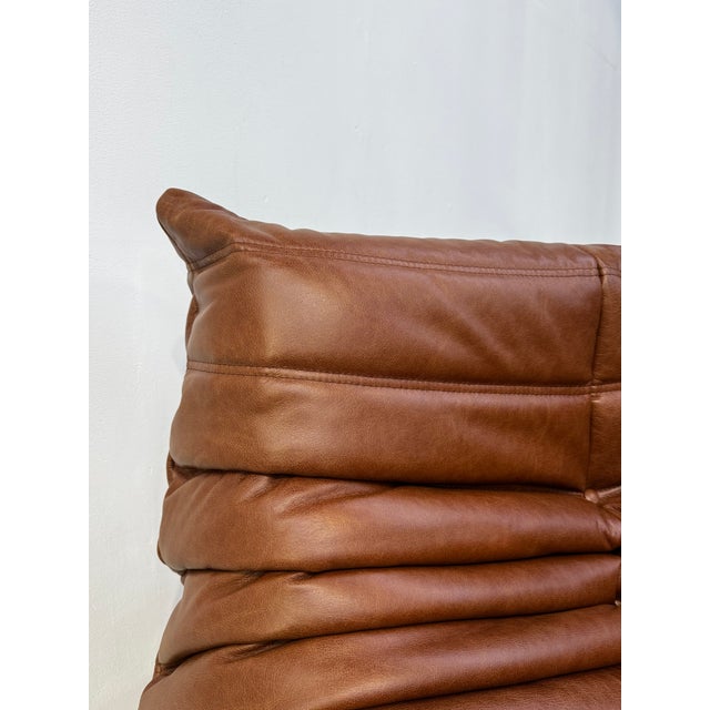 French Togo Lounge Chair in Dark Cognac Leather by Michel Ducaroy for Ligne Roset For Sale - Image 7 of 13