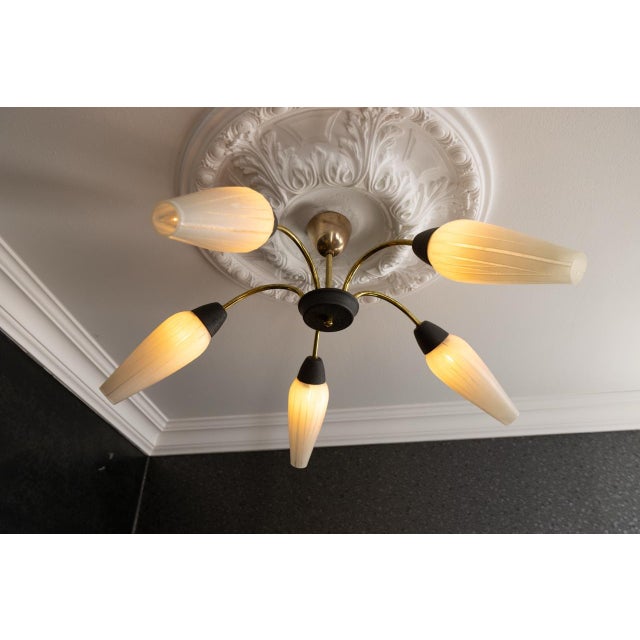 Mid-Century Modern German Sputnik Chandelier, 1950s For Sale - Image 12 of 18