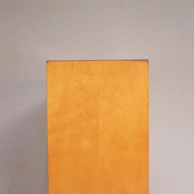 Belgian Birch Display Cabinet For Sale - Image 12 of 18