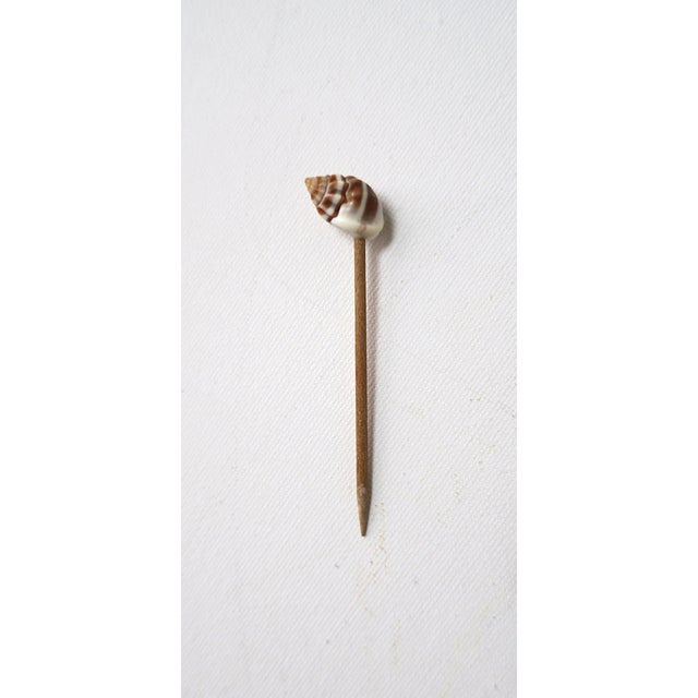 Seashell Appetizer Picks, Set of 23 For Sale - Image 9 of 9