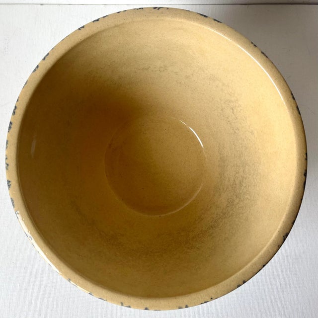 Robinson Ransbottom Pottery Co. Early American Spongeware 10" Bowl-Robinson Ransbottom For Sale - Image 4 of 6