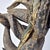 Early 20th Century Dan, Wee, Kran, Guerre Guere Mask on Stand For Sale - Image 10 of 15