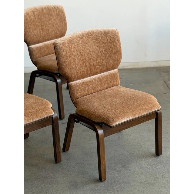 W21 D24 H33 SW20 SD17 SH18 Charming set of six bentwood chairs in oak. Fully refinished and stained with a dark stain....